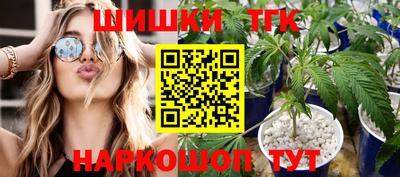 стаф Моздок