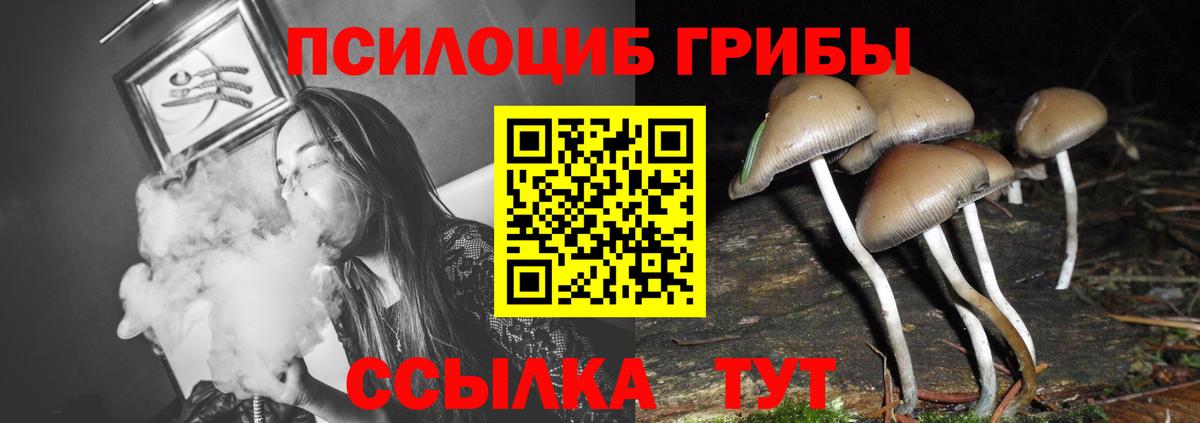 Алексеевка  Псилоцибиновые грибы мухоморы  Вход с VPN 